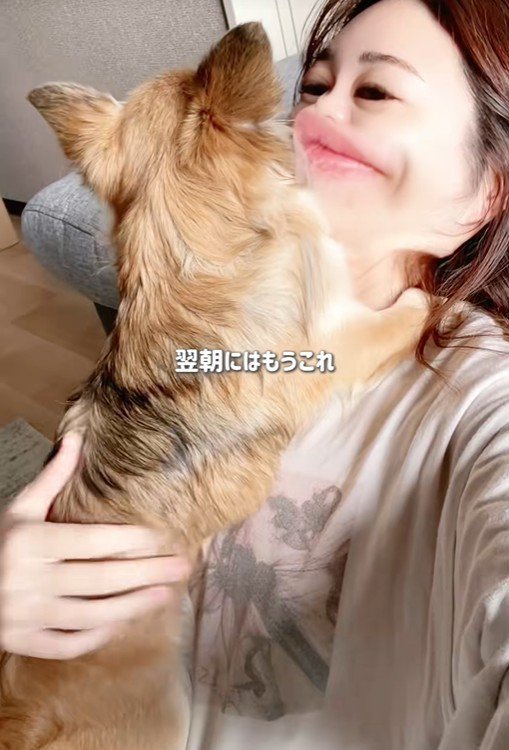 シアルちゃんを迎えた日9