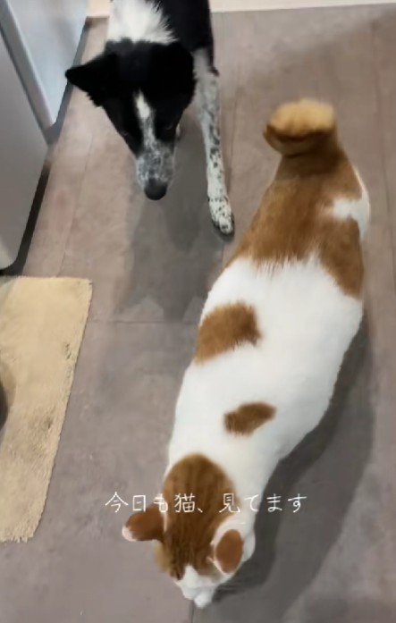 「どこ行くの？」