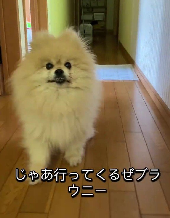 ちょっと飽きてきた？