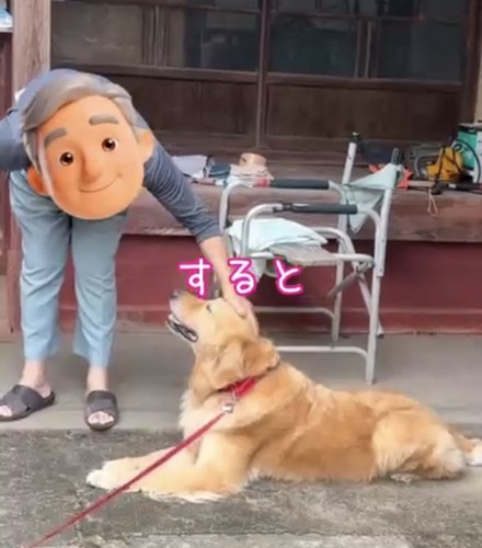 犬を撫でるおじいちゃん