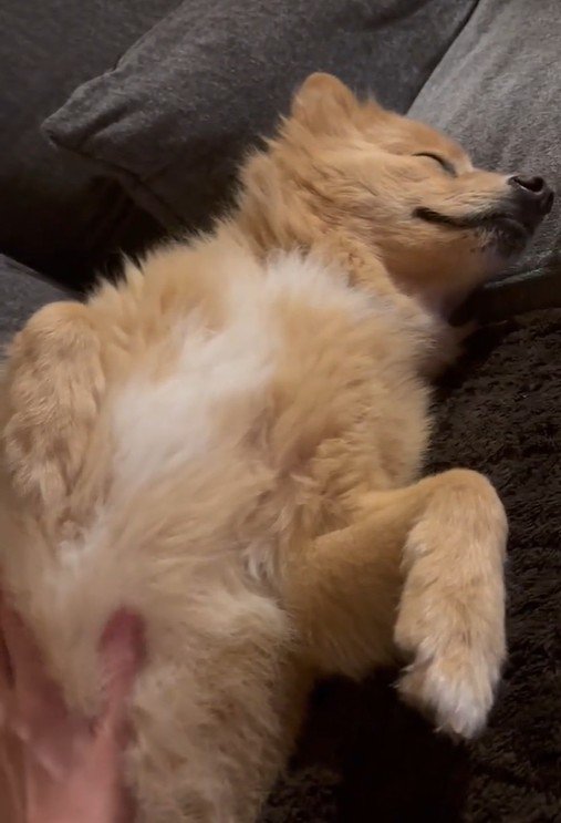 大きな赤ちゃんのよう♡