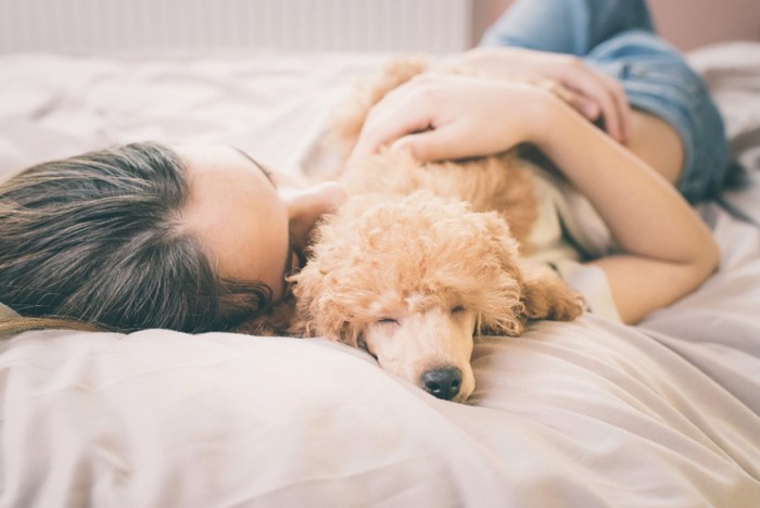 飼い主さんの上で寝る犬