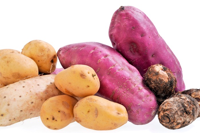 さつまいも・長芋・里芋・じゃがいもが並んでいる様子