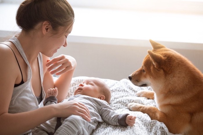 赤ちゃんと女性と柴犬