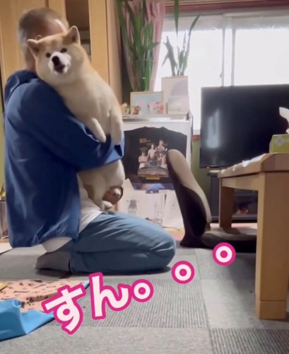 抱っこで落ち着く犬