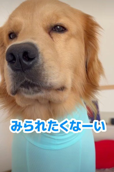 「オシャレな服がいい！」