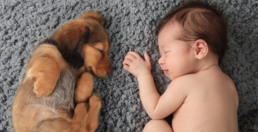 隣で眠る赤ちゃんと子犬