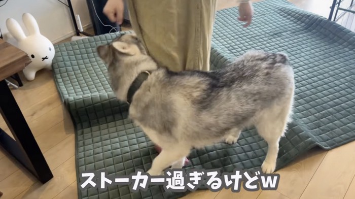 ベッタベタに甘えます