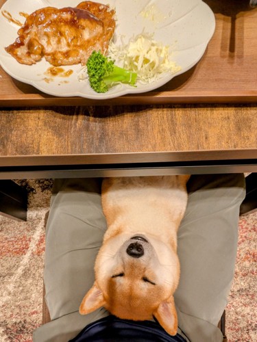 食事時
