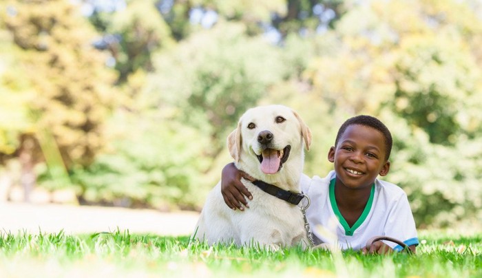 男の子と犬