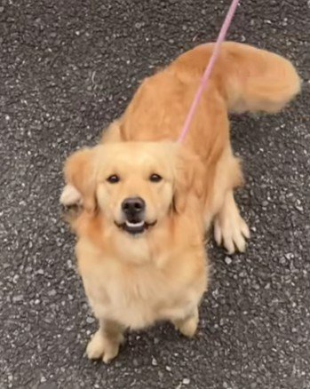 愛犬のムニちゃんが！！