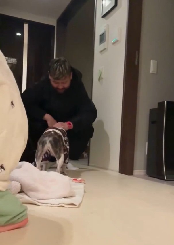 丸男くんを撫で続けるパパ