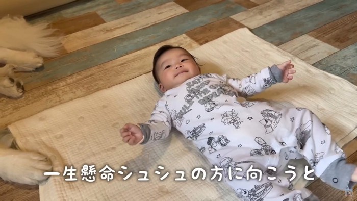 シュシュちゃんに近づきたい！