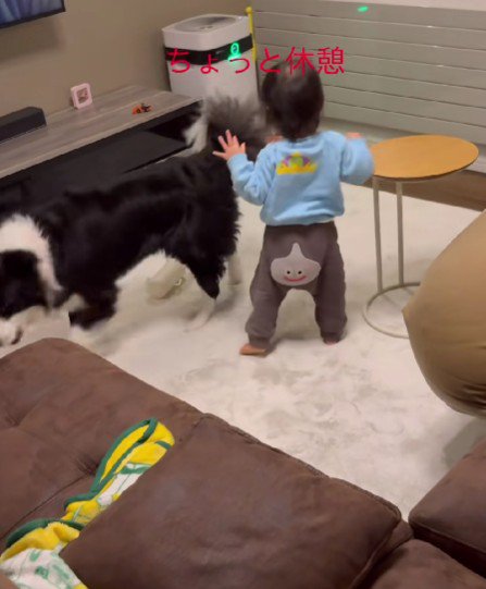 休憩するためケージに戻ると…