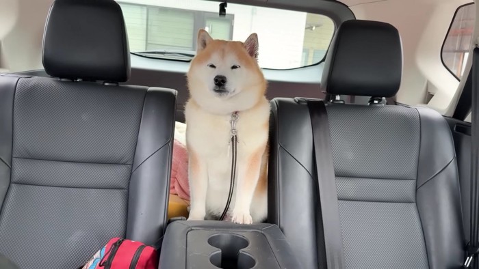 診察を終えたらんまるくん