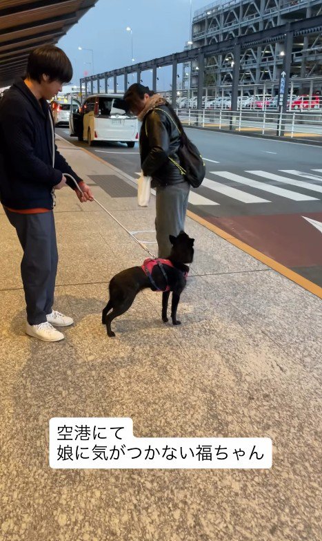 お顔を見上げる福ちゃん