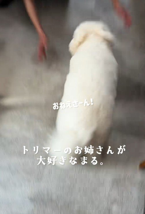 全力ダッシュ！