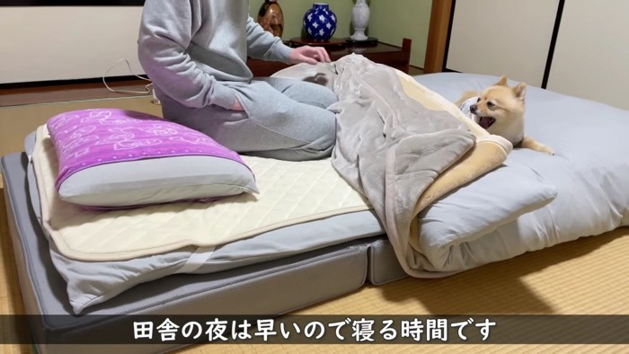 飼い主さんも就寝です