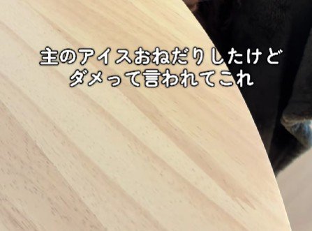 アイスをおねだりしたエミリーちゃんが…