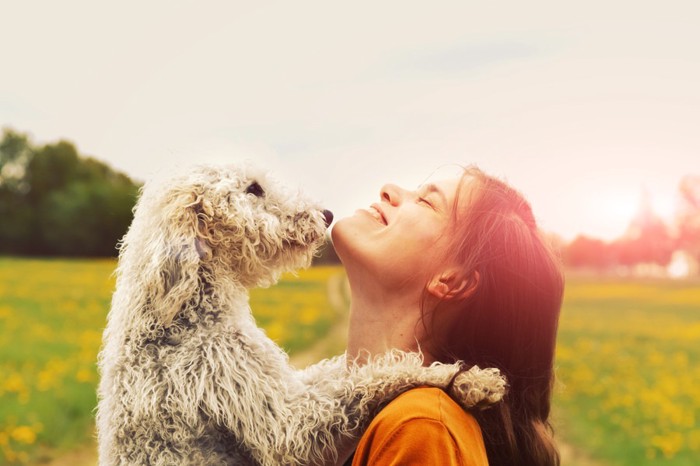 犬を抱っこする女性