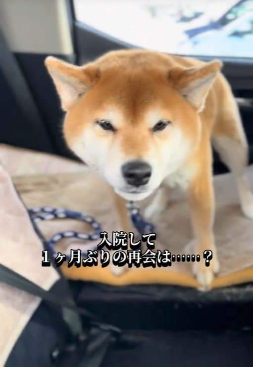 ママさんと再会