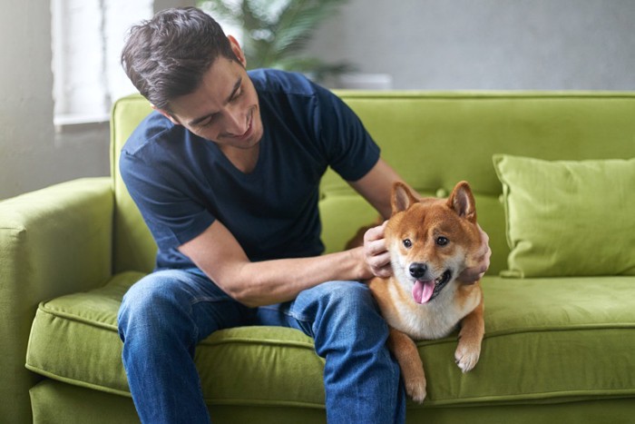 男性と犬