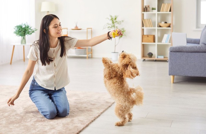 室内で遊ぶ女性と犬