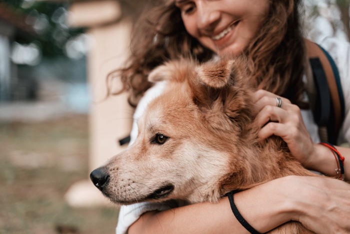 首をマッサージされる犬と女性