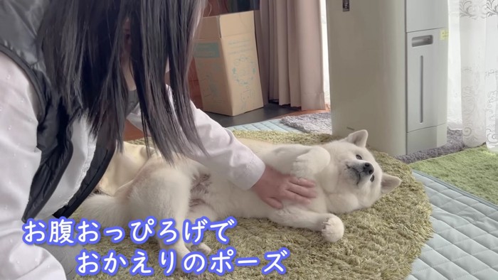 「お母さん、おかえり」