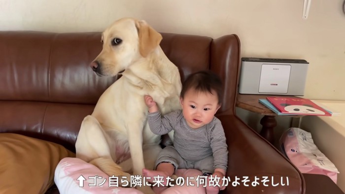 ママがお留守の日は愛犬の出番！