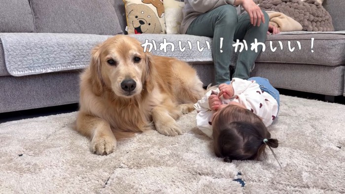 わんこと育った女の子