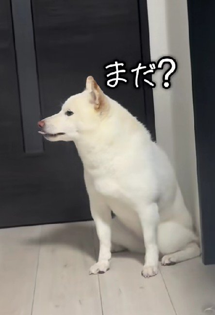 「まだ？」