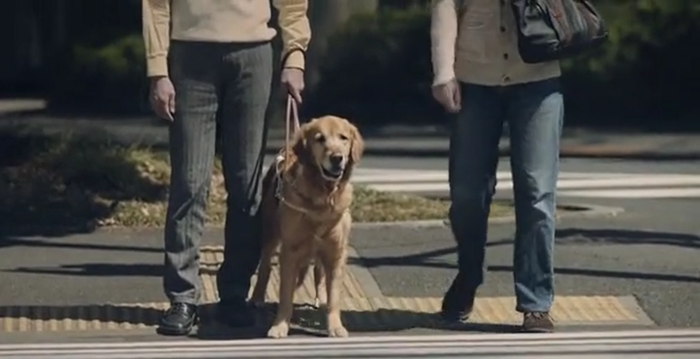 guidedogs3