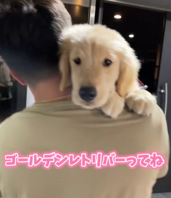 パピー期は圧倒的可愛さ！