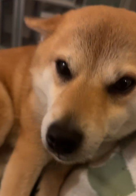 表情は最上級の喜び♡