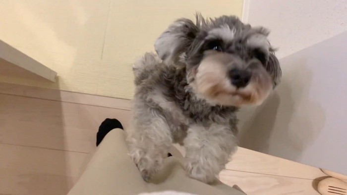 「ママ、おかえり！」