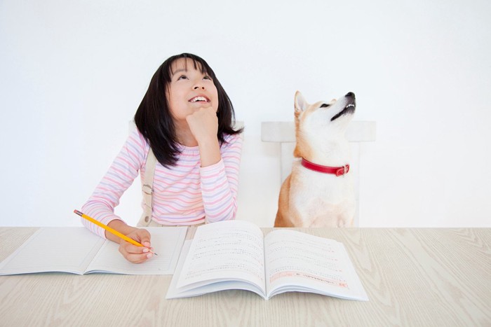 上を見上げて考える女の子と柴犬