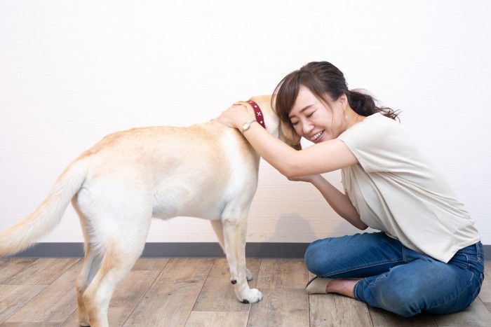 留守番中に落ち込む犬