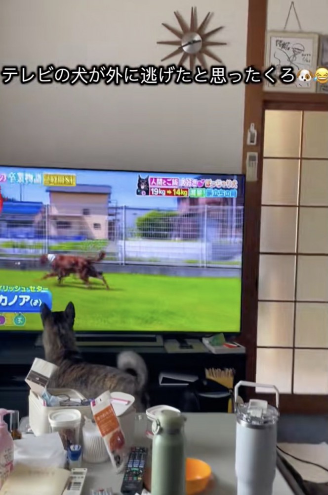 画面をじーっ…