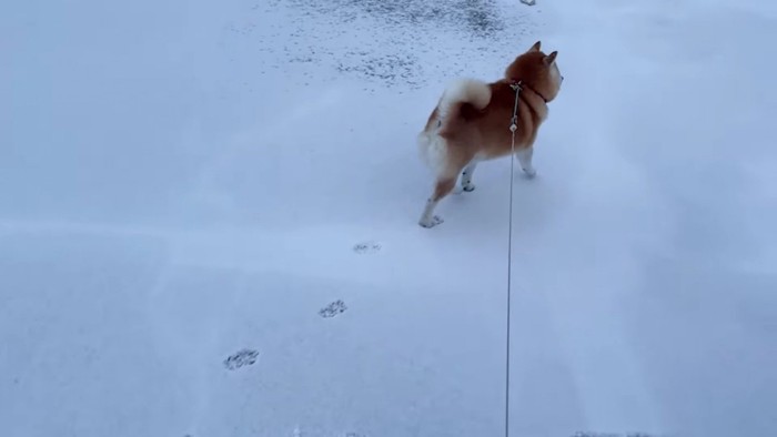 捜索を開始！！