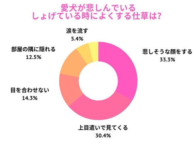 アンケート結果