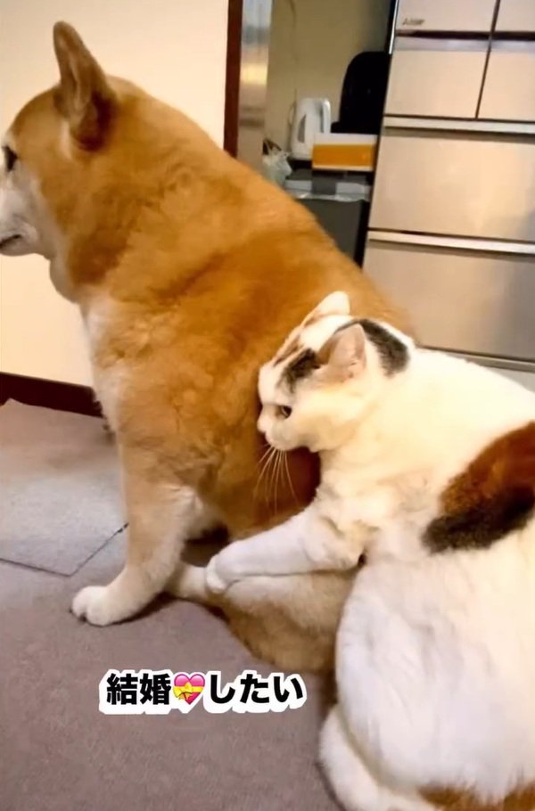 後ろから抱きつく可憐ちゃん