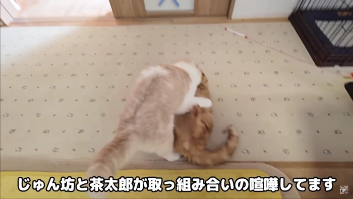 喧嘩が勃発！！