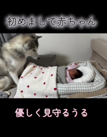 赤ちゃんと初対面