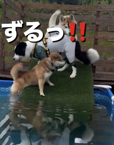 「!?」