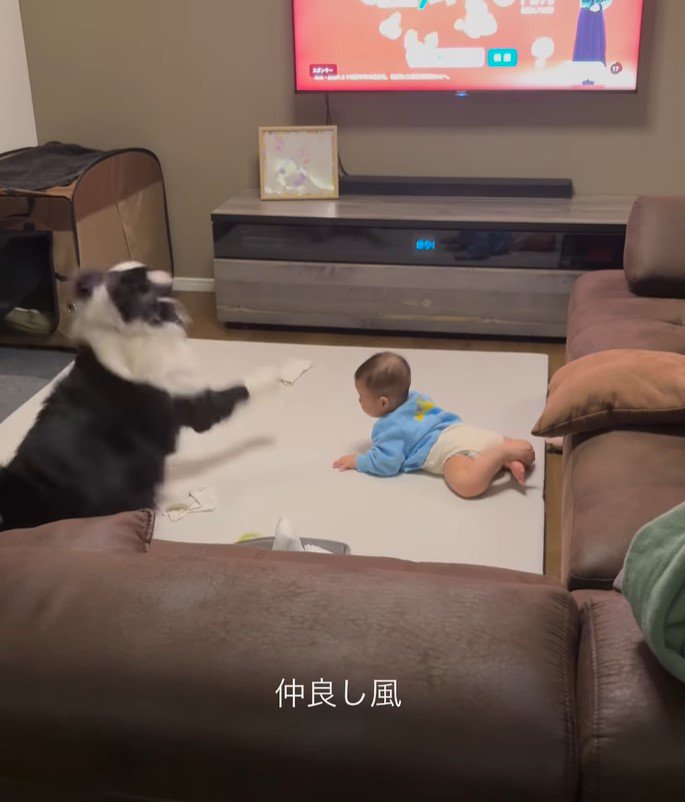 こり男くんと赤ちゃん8