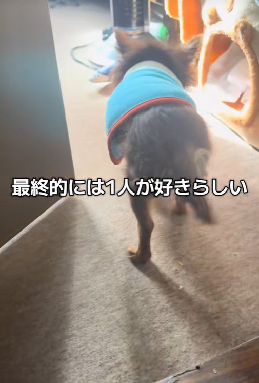 テープくんの変化⑩