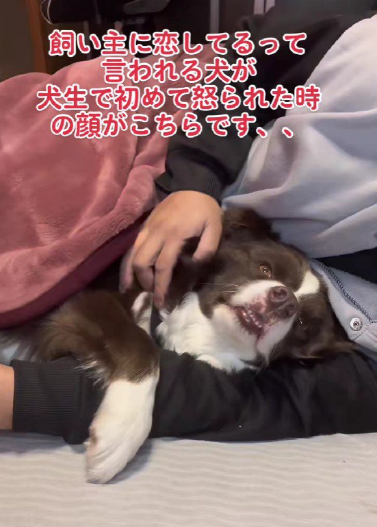 腕枕で寝るのがお気に入り