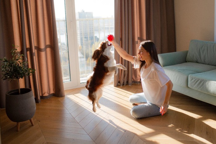 女性と遊ぶ犬