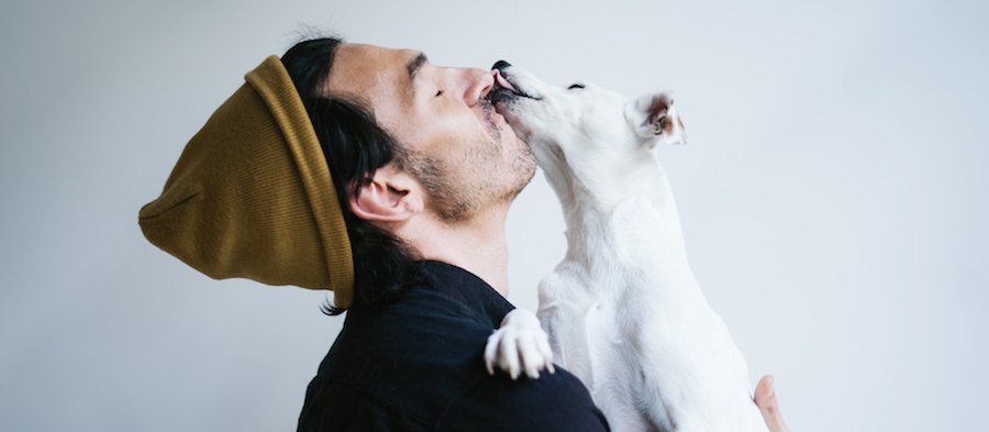 飼い主に抱っこされてキスしている犬